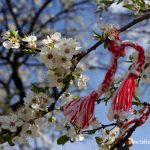 мартинка на др4