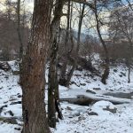 bogojavlenie 2019 ,