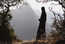 Кога повикот за “последното место“ води кон восиновување!? (д.Наум)