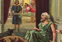 МИЛОСРДИЕТО Е ПОГОЛЕМО И ОД НАЈСТРОГИОТ ПОСТ!